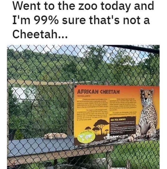picdump

https://www.instagram.com/p/CrEPdKJNOvU/