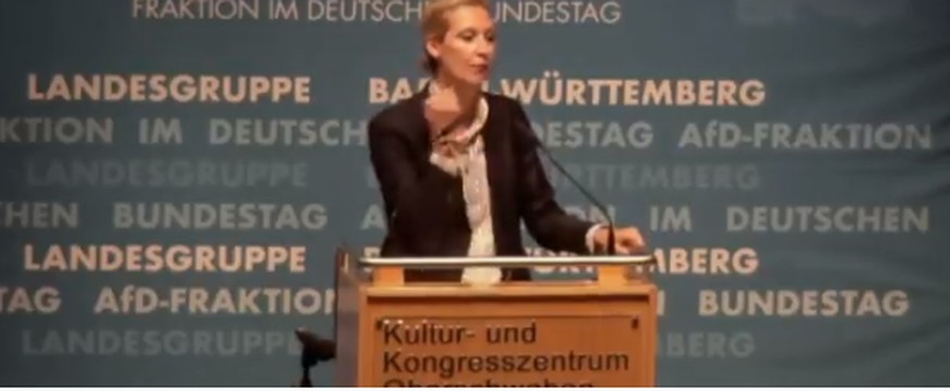 Alice Weidel, die «Kopf ab»-Geste und der Husten: Jetzt redet der AfD-Sympathisant