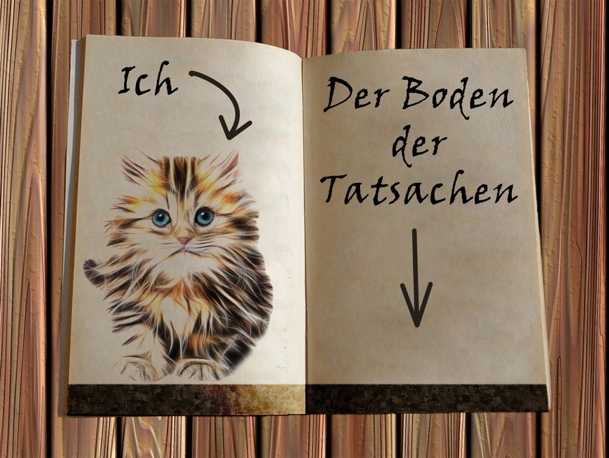 «Liebes Tagebuch, heute bin ich auf dem Boden der Tatsachen gelandet!»