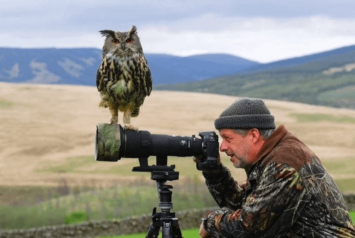 cute news tier fotograf

https://www.reddit.com/r/FunnyAnimals/comments/1h5sw40/animals_disturbing_photographers/