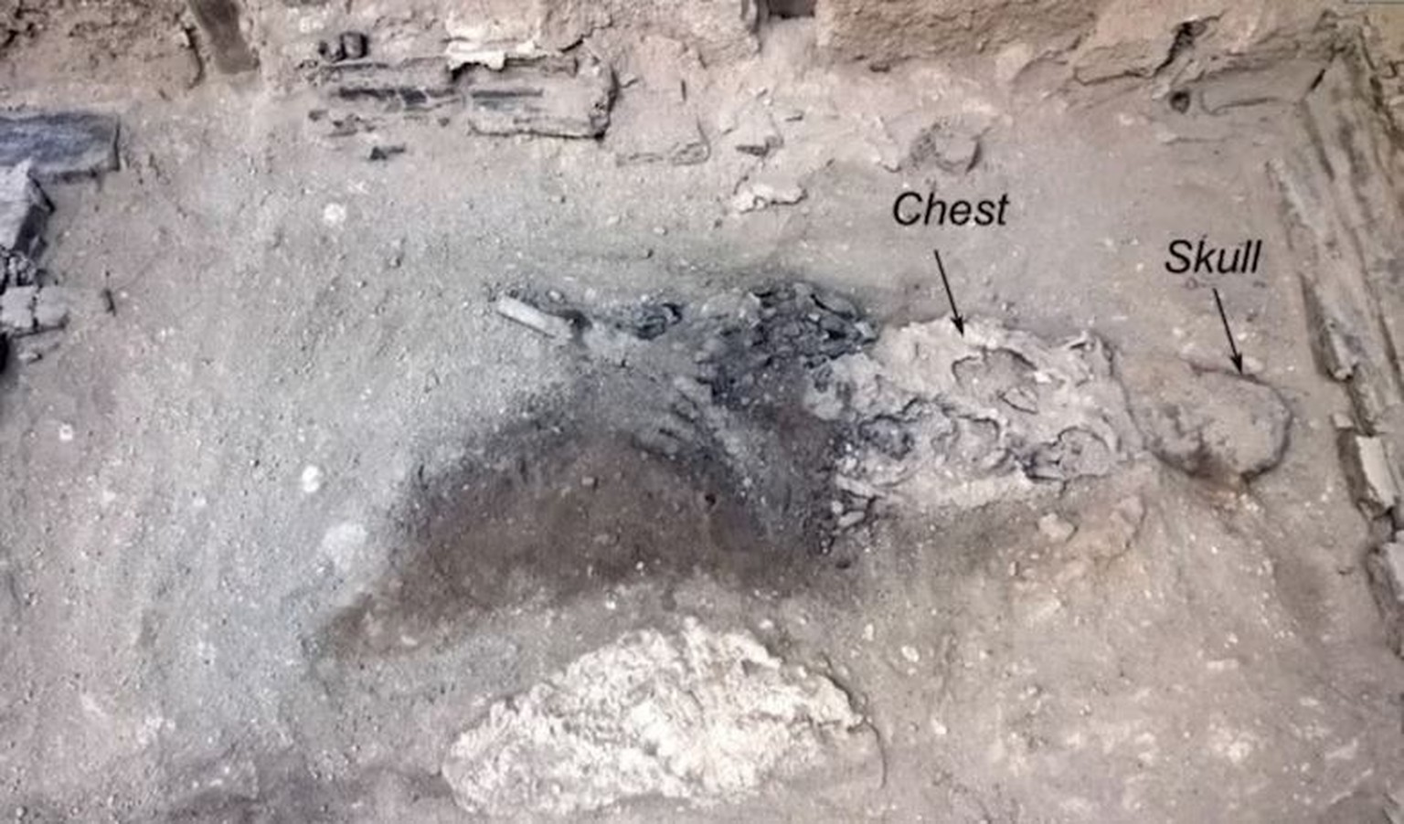 Fundort des Opfers des Ausbruchs des Vesuvs in Herculaneum.