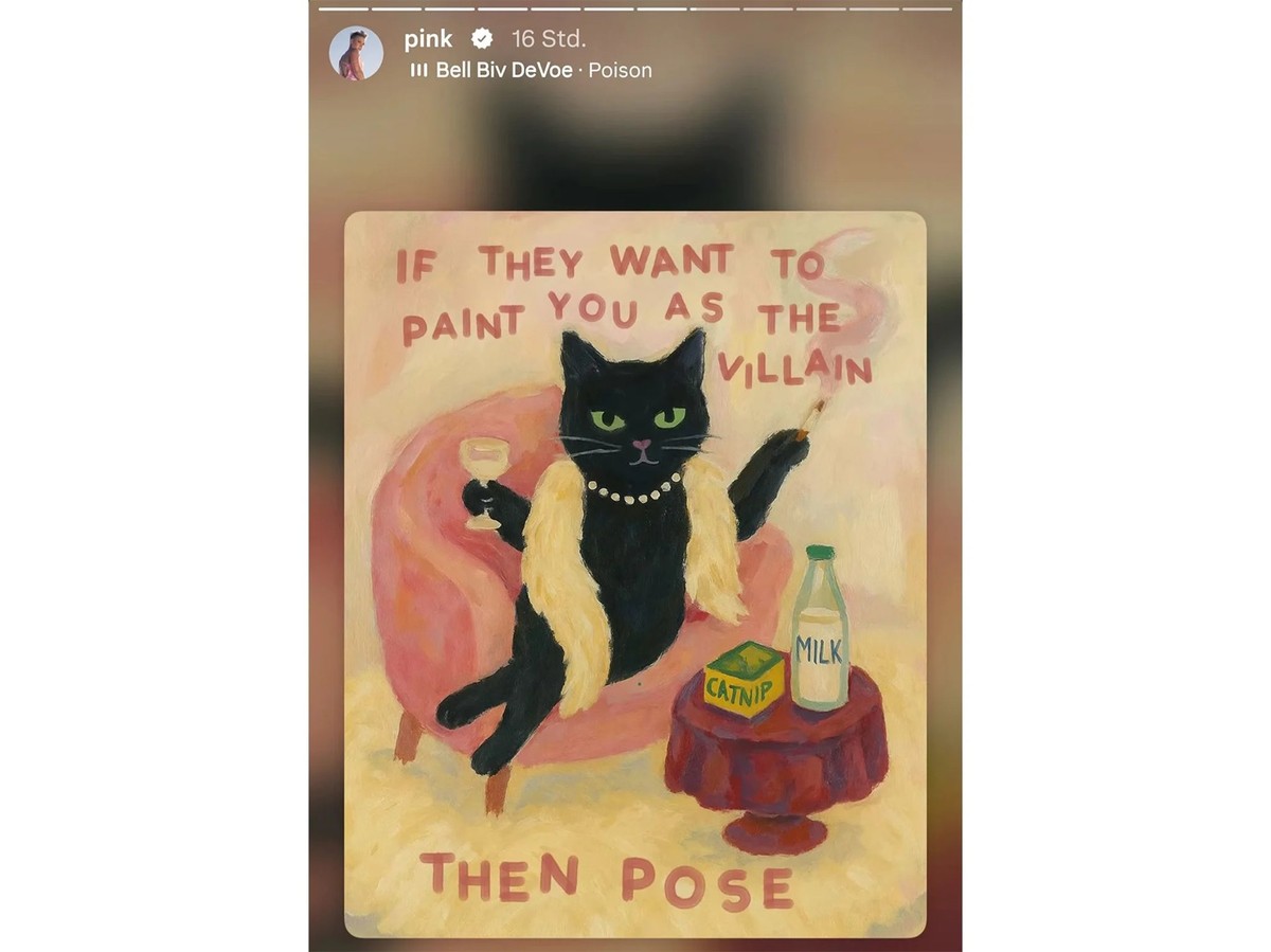 «Wenn sie dich als Bösewicht darstellen wollen, dann posiere»: Mit solchen Instagram-Storys reagierte Pink zunächst auf die Kritik.