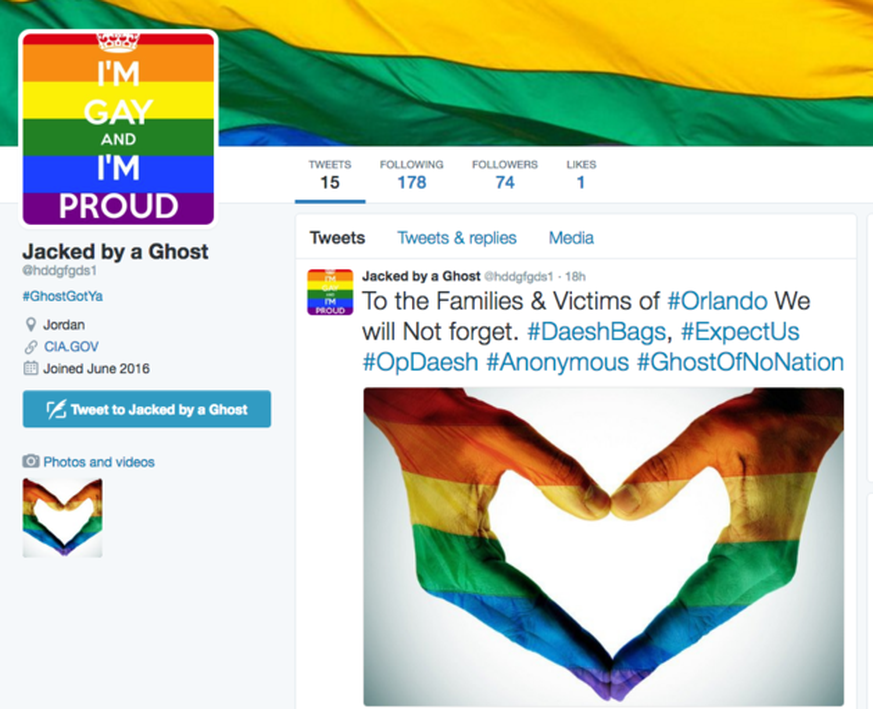 Twitter-Konten des «IS» verbreiten plötzlich Gay-Pride-Botschaften. Dahinter steckt einmal mehr das Hacker-Kollektiv Anonymous.