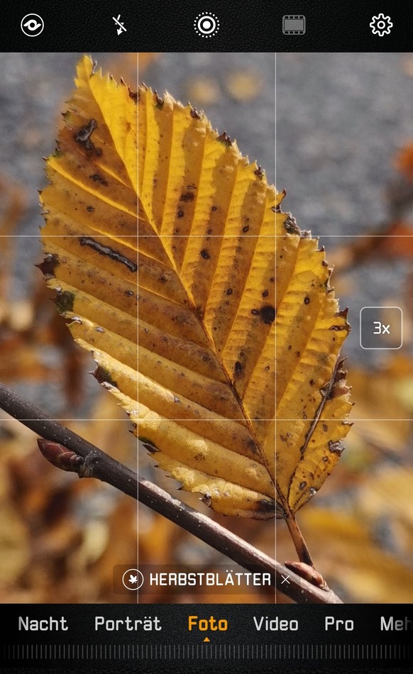 Die Kamera erkennt das Herbstblatt, wechselt in den Makro-Modus und reguliert die Tiefenschärfe.