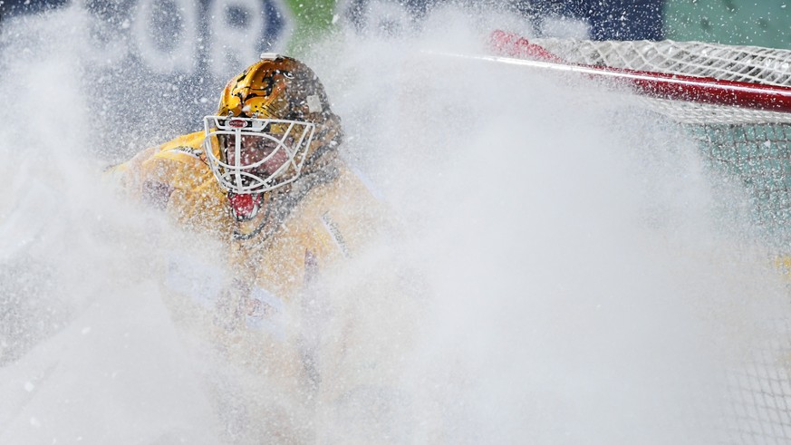 Langnau&#039;s goalkeeper Damiano Ciaccio during the preliminary round game of the National League between HC Ambri Piotta and SCL Tigers, at the ice stadium Valascia in Ambri, on Saturday, January 20 ...