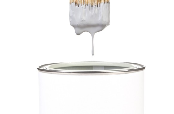 American researchers want to use their color to reduce the energy-intensive use of air conditioning.