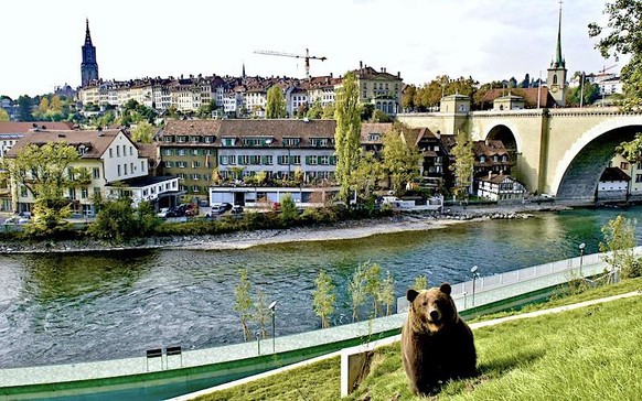 Diese 4 Tierparks solltest du unbedingt einmal besuchen!\nTierpark Dählhölzli &amp; Bären-Park - Bern.
In der Bären-Parkanlage mitten in der Altstadt, haben die Braunbären einen kleinen ”Wald” und ein ...