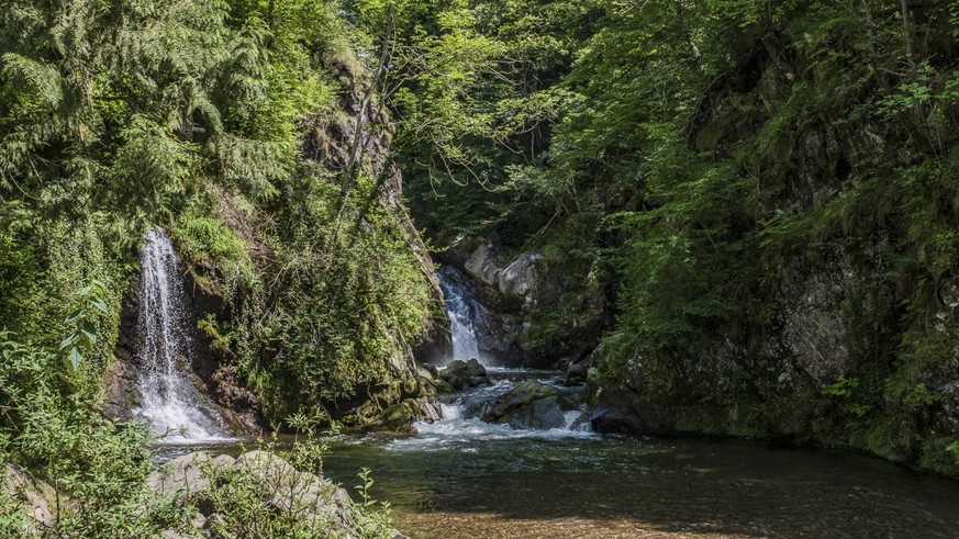 Gewässerperlen Schweiz wilde naturnahe Schweizer Flüsse unberührt Flusswanderungen Rauszeit Magliasina