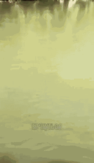 Animiertes GIF