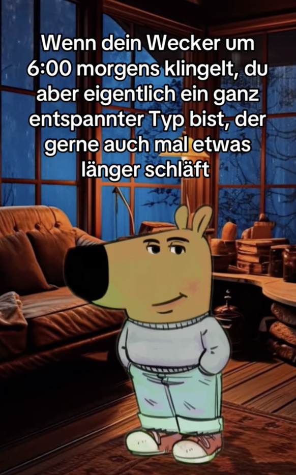 Chill Guy, Entspannter Typ