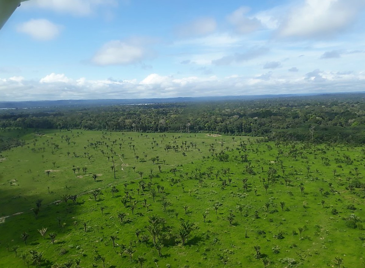 Luftblick auf abgeholzte Fläche des Amazonas. Die Zerstörung im brasilianischen Amazonas-Gebiet nimmt im Schatten der Covid-19-Pandemie dramatisch zu. Foto: Martina Farmbauer/dpa