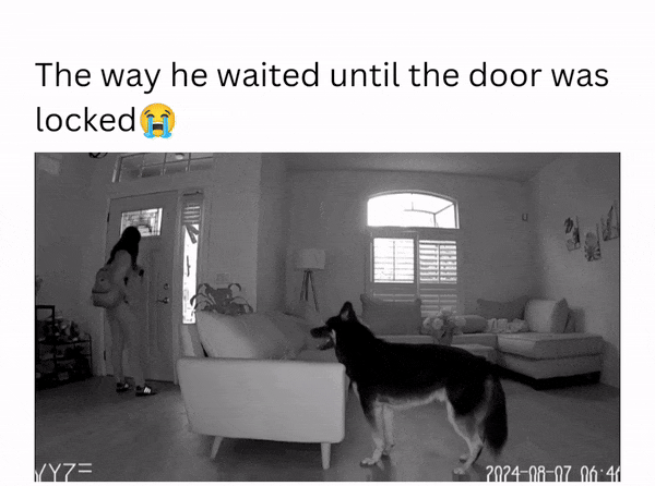 2008297493019635