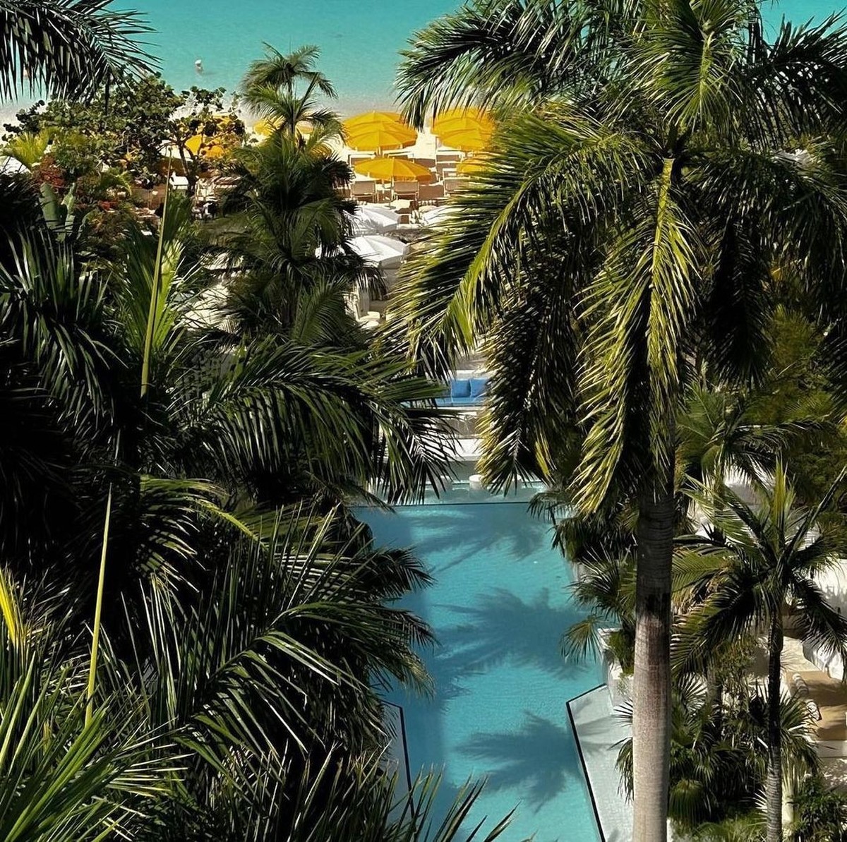 Palm Heights
