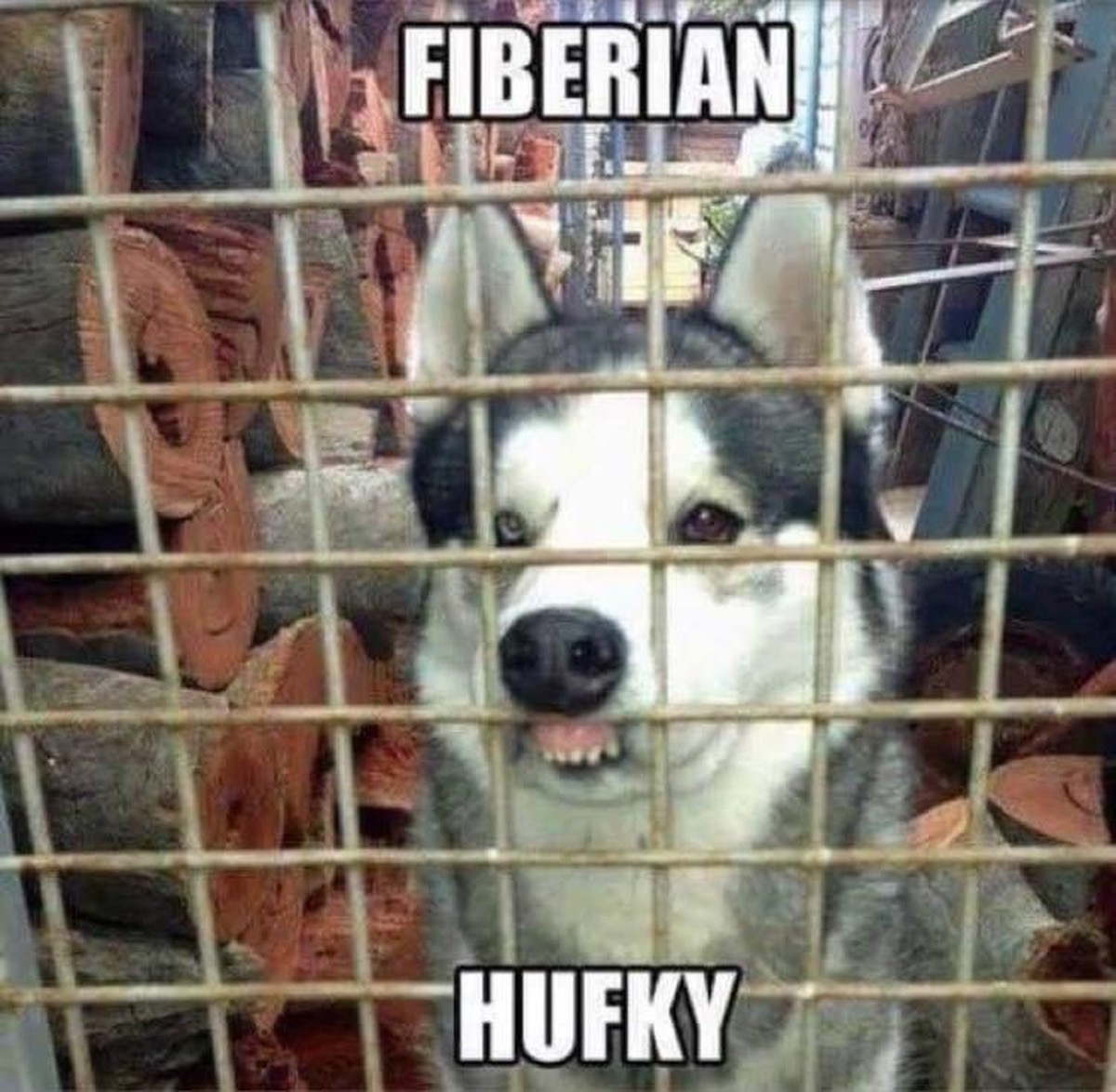 PICDUMP Nummer 369. Höhö. Hö.\n😂