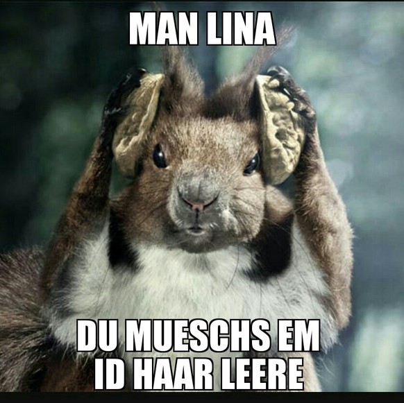 Picdump! Für Gross und Klein und alle zwischendrin
LINAAAAA