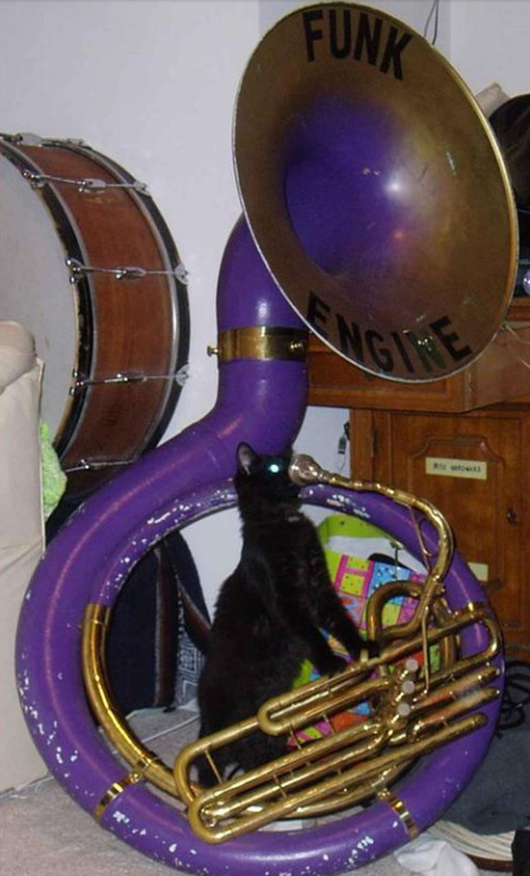 Katze bläst in eine Tuba?
Cute News
http://imgur.com/gallery/fkwCW