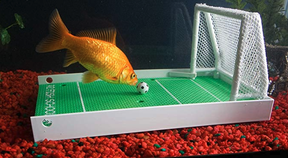 Fischfussball-Trainigsset
