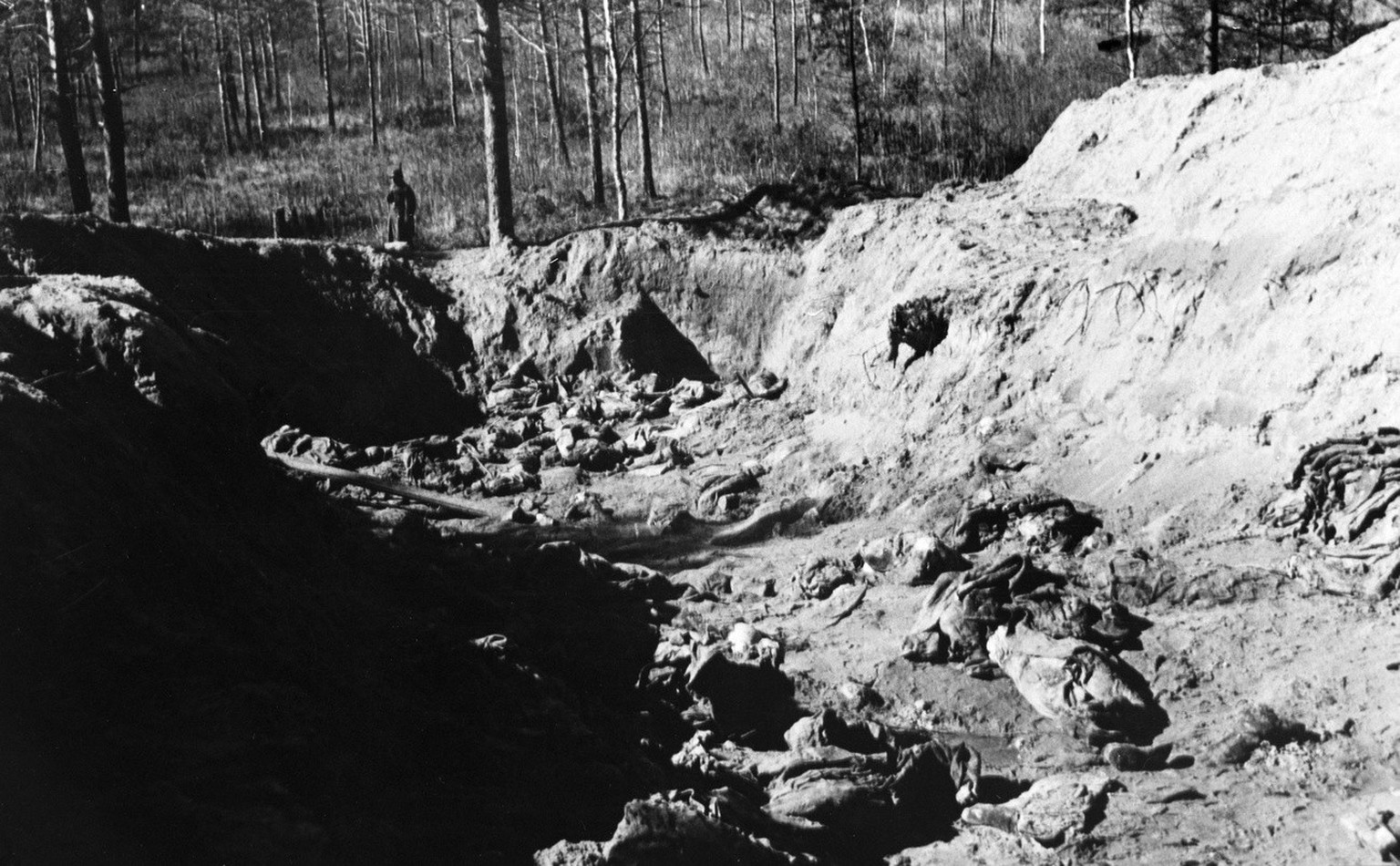 Die im Massaker von Katyn zwischen dem 3. April und dem 19. Mai 1940 durch Angehoerige des sowjetischen Volkskomissariats fuer Innere Angelegenheiten (NKWD) ermordeten 4400 polnischen Offiziere werden ...