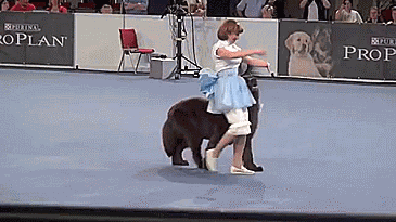 Animiertes GIF