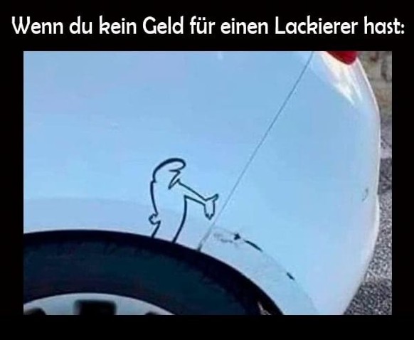 Picdump #6 – Liebe Community, die Memes sind angerichtet\n