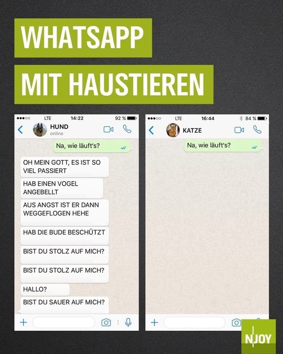 Picdump 159 тАУ Wir wollen keinen Winter, wir wollen Memes!\nJa. ЁЯШД