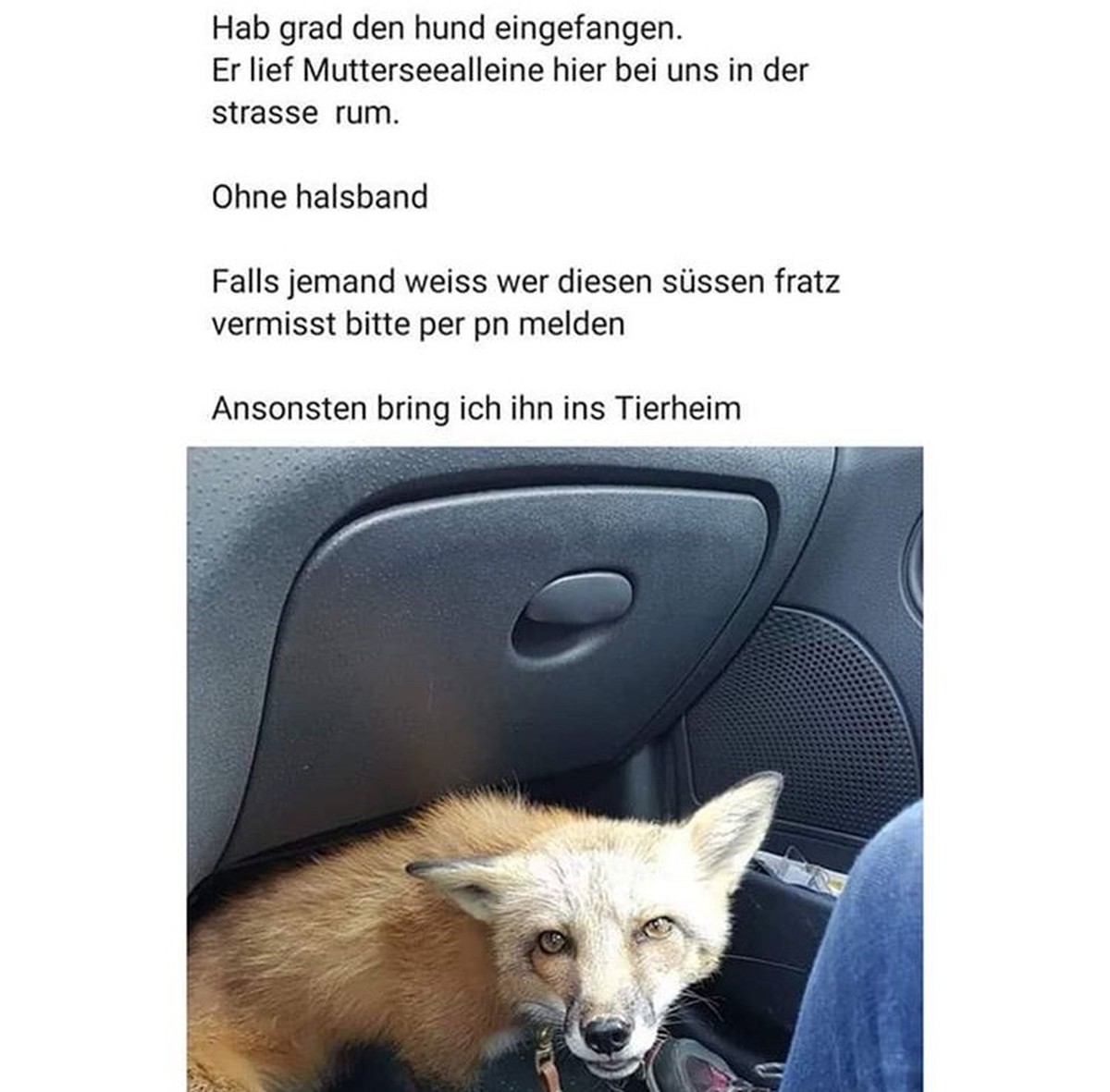 PICDUMP! (Und bald keine Ferien mehr ... ЁЯШУ)