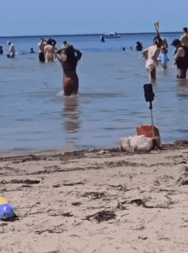 Animiertes GIF