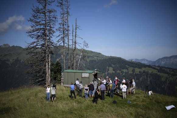 Markus Ritter, Praesident des Schweizer Bauernverbandes, spricht an einer Medienkonferenz des St. Galler und Schweizer Bauernverbandes zu den Wolfsrissen im Gebiet, am Dienstag, 5. August 2024, auf de ...