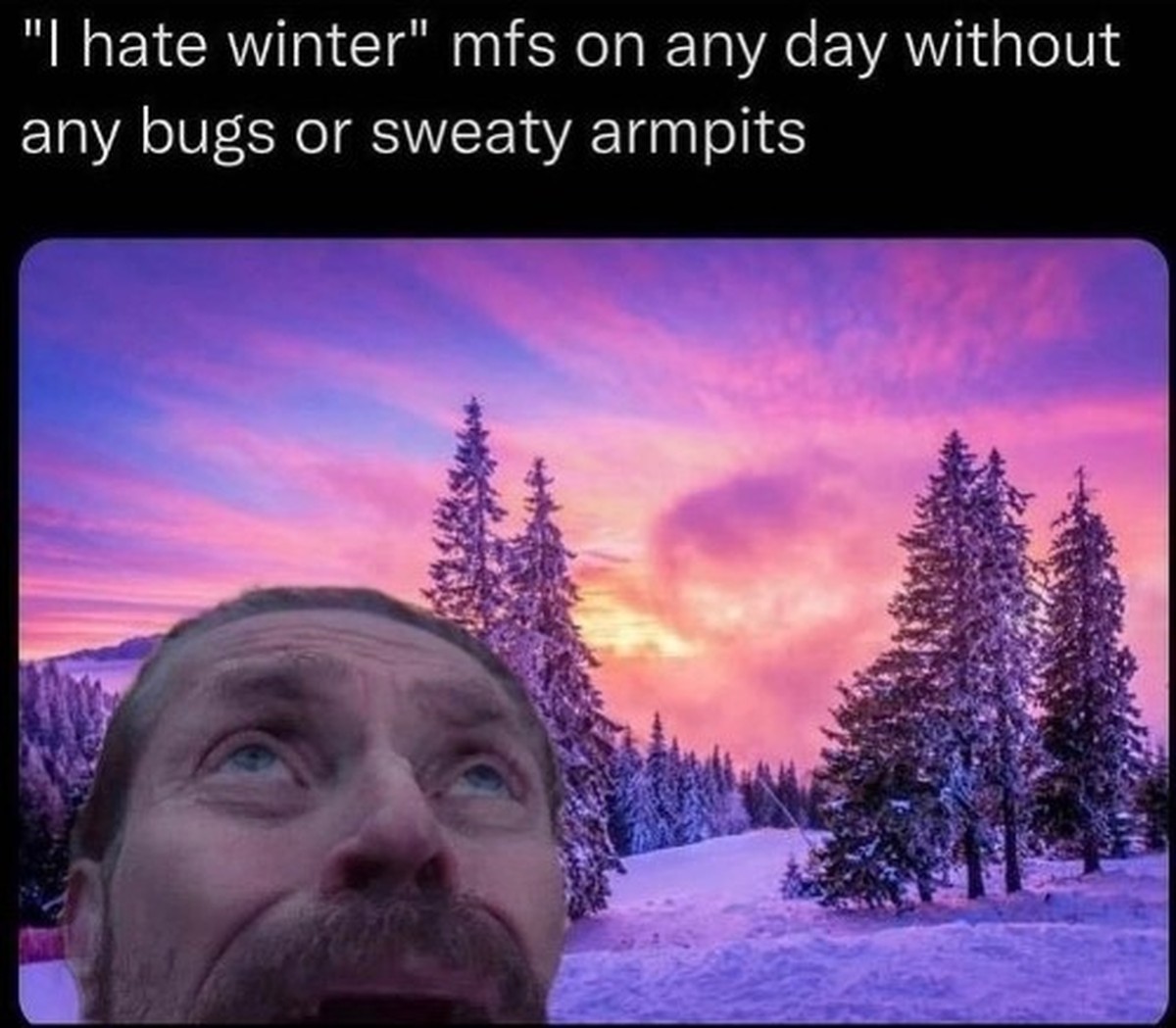 Winter Memes
