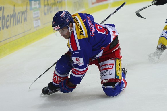 Peter Guggisberg spielte zuletzt für die Kloten Flyers.