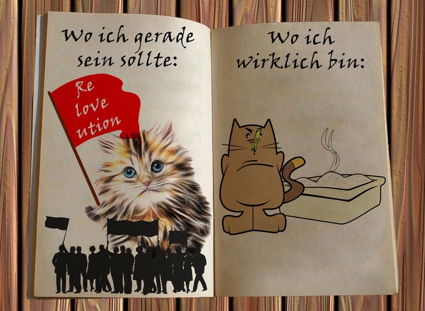 «Liebes Tagebuch, ich glaube, ich bin schwanger!»