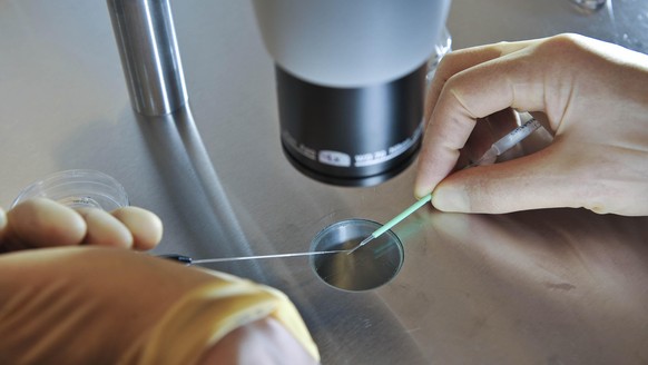 Leben unter dem Mikroskop: Bereits heute werden 2000 Embryonen pro Jahr vernichtet.