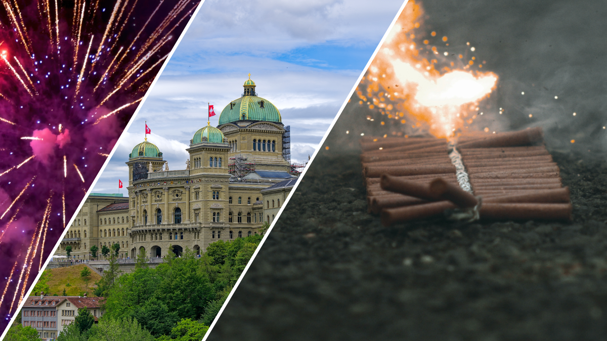 Le Parlement soutient une interdiction des pétards qui produisent uniquement des détonations, tout en préservant les feux d'artifice visuels.