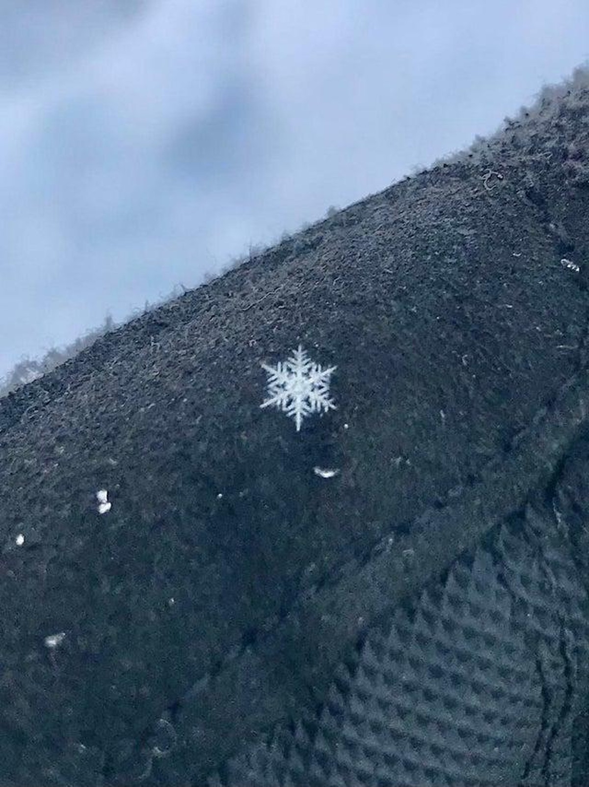 Schneeflocke auf Mantel