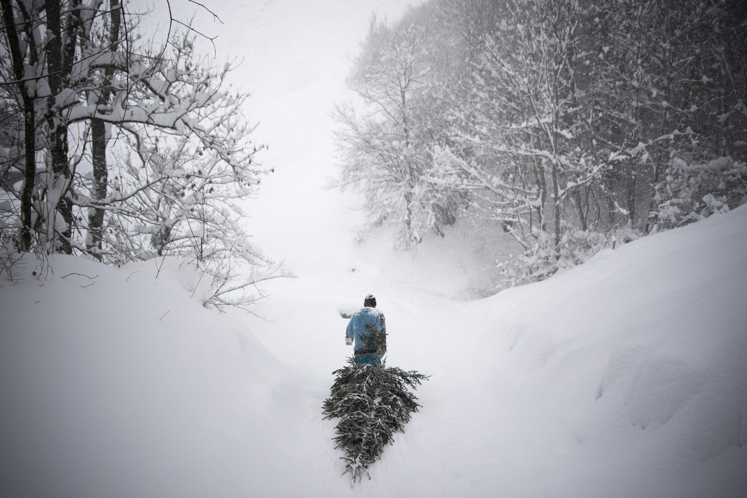 Swiss Press Photo