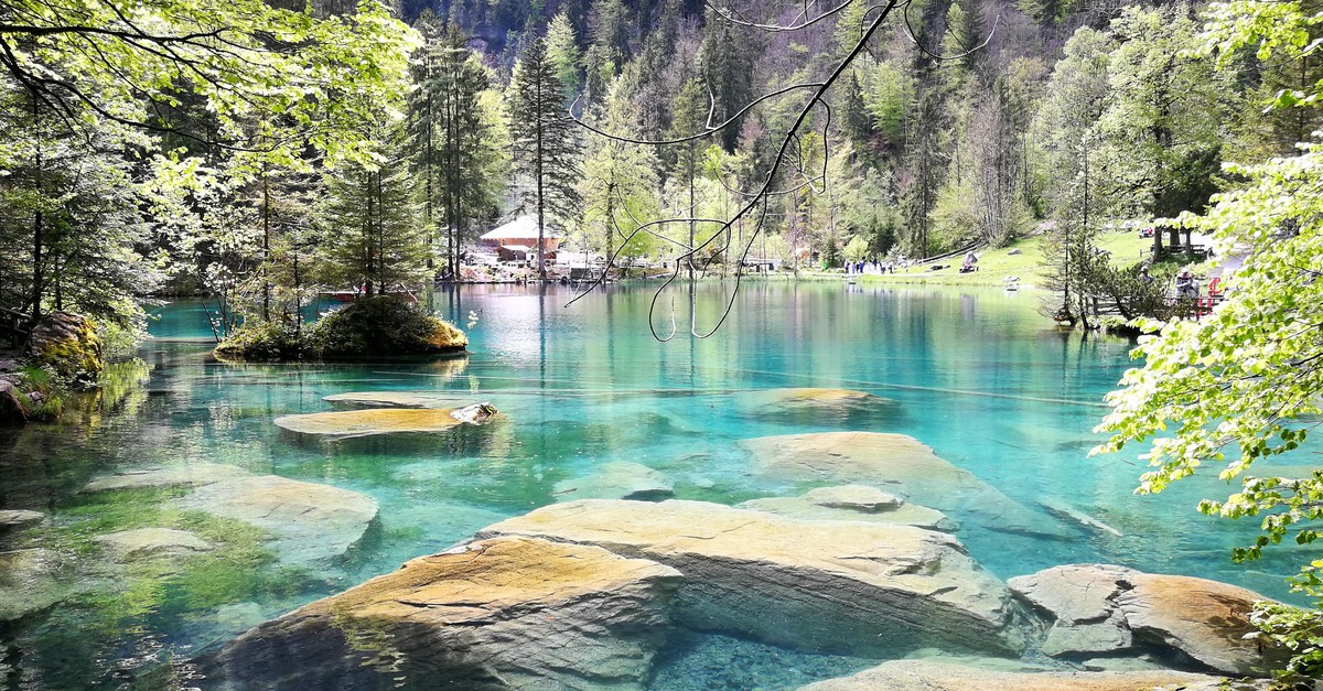 Fischzucht-Blausee-muss-wegen-Tierseuche-25-Tonnen-Fische-t-ten