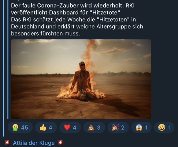 Schweizer Kanal-Betreiber verbreiteten aus Deutschland stammende Hitzepanik-Postings weiter.