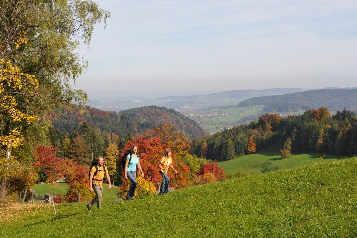 Rauszeit Herbstwanderungen Tannzapfenland Fischingen