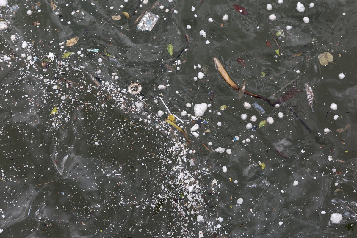epa06134948 Clumps of palm oil float in the water off St. Stephen's Beach in Stanley, Hong Kong, China, 10 August 2017. The World Wildlife Fund (WWF) - Hong Kong has called for more detailed moni ...