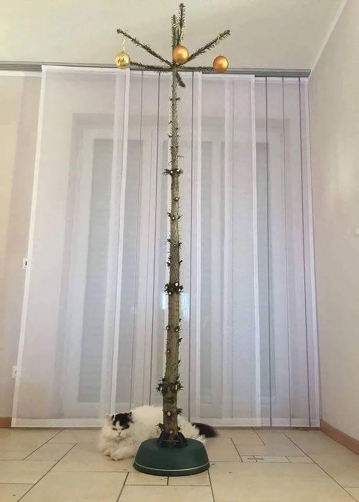 hässlicher Weihnachtsbaum
