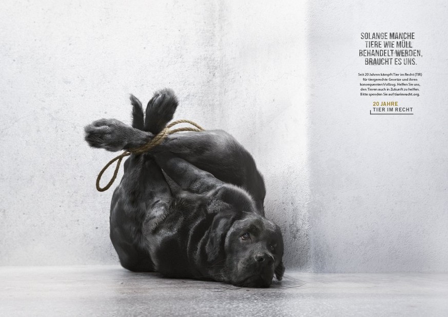 Ein Poster aus einer <a href="https://www.tierimrecht.org/de/tir/kampagnen/tiere-wie-mll/" target="_blank">preisgekrönten Kampagne</a> der Stiftung Tier im Recht.
