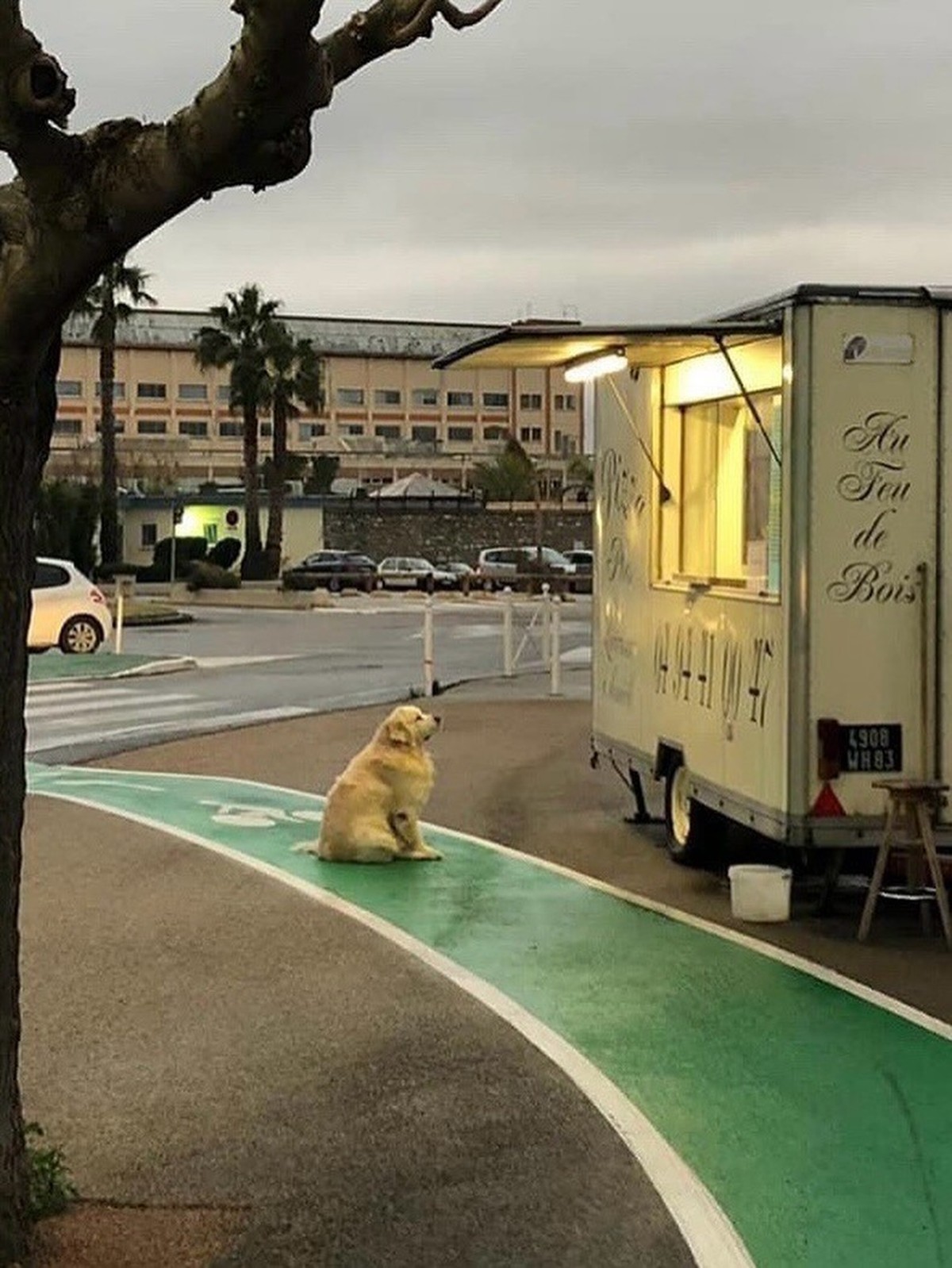 cute news tier hund

https://www.instagram.com/p/DRxStALkkpx/