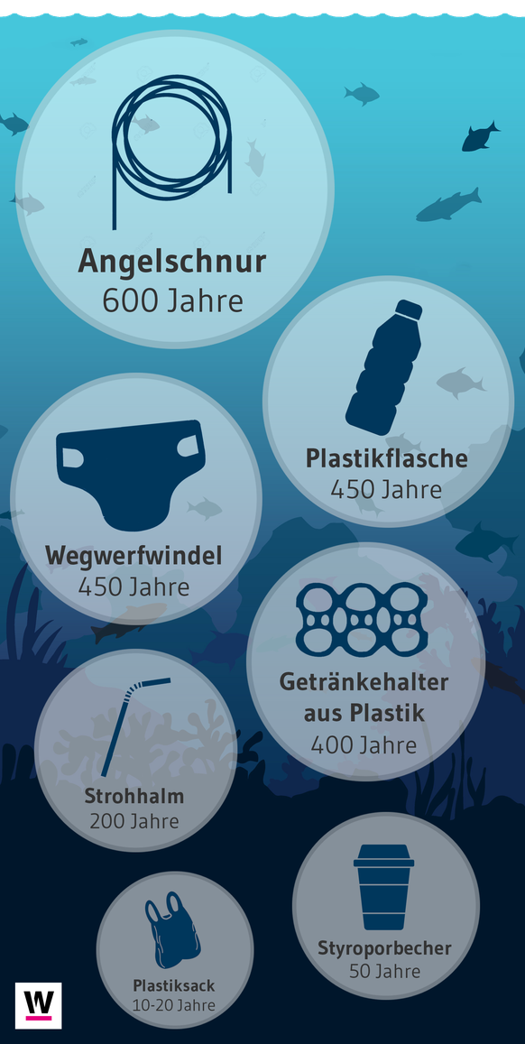 Plastikmüll: So lange dauert es, bis er zersetzt ist