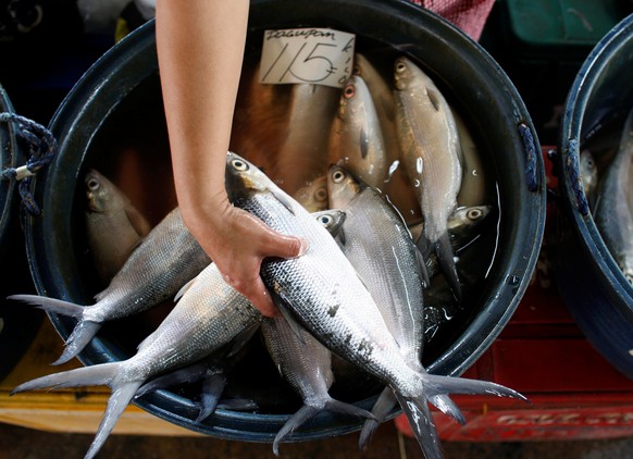 FILE PHOTO - A vendor sorts her fish for sale at a fish market located in Paranaque City, metro Manila September 9, 2008. REUTERS/Darren Whiteside/File Photo GLOBAL BUSINESS WEEK AHEAD PACKAGE - SEARC ...