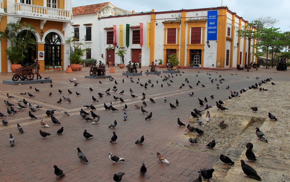 epa09174882 Pigeons swarm an empty St. Peter's Square in Cartagena, Colombia, 02 May 2021. Colombian authorities enforced new restrictions to curb the spread of COVID-19. EPA/Ricardo Maldonado Ro ...