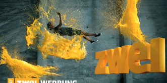 Grüne sagen Unterbrecher-Werbung bei der SRG den Kampf an