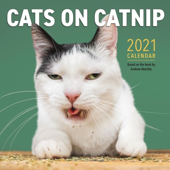 komische wandkalender 2021 https://www.calendars.com/shop/kama-pootra-wall-calendar/prod202100001365