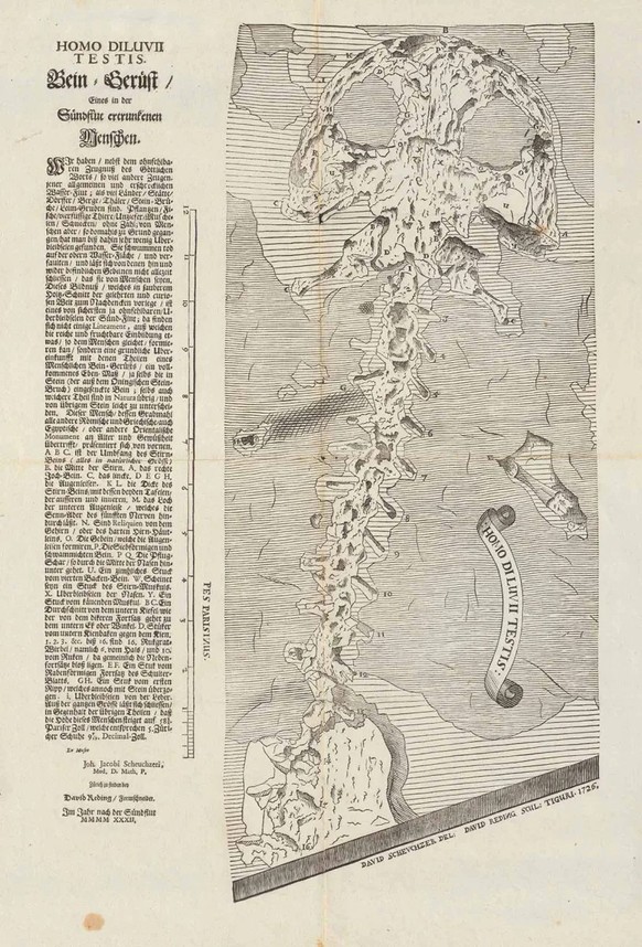 Auf dem Einblattdruck «HOMO DILUVII TESTIS» stellt Scheuchzer dem Publikum die Versteinerung eines in der Sintflut ertrunkenen Menschen vor.
https://www.e-rara.ch/zut/content/zoom/5043151