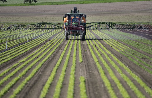 ARCHIVBILD ZUR MK DER SVP ZUR AGRARPOLITIK AB 2022 (AP22+), AM MONTAG, 27. JULI 2020 - With a field sprayer system, a tractor applies pesticides to a lettuce field on the Gemuese Kaeser &amp; Co. farm ...