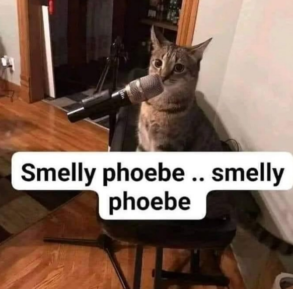 film memes

https://www.instagram.com/p/C_f51jyocrh/